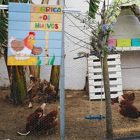 Mis Princesas En Casa *